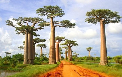 Photo Madagascar